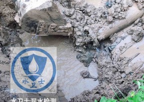 鹤城区水管漏水检测公司5